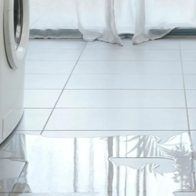 Appliance Leak Cleanup in Johnson, AR