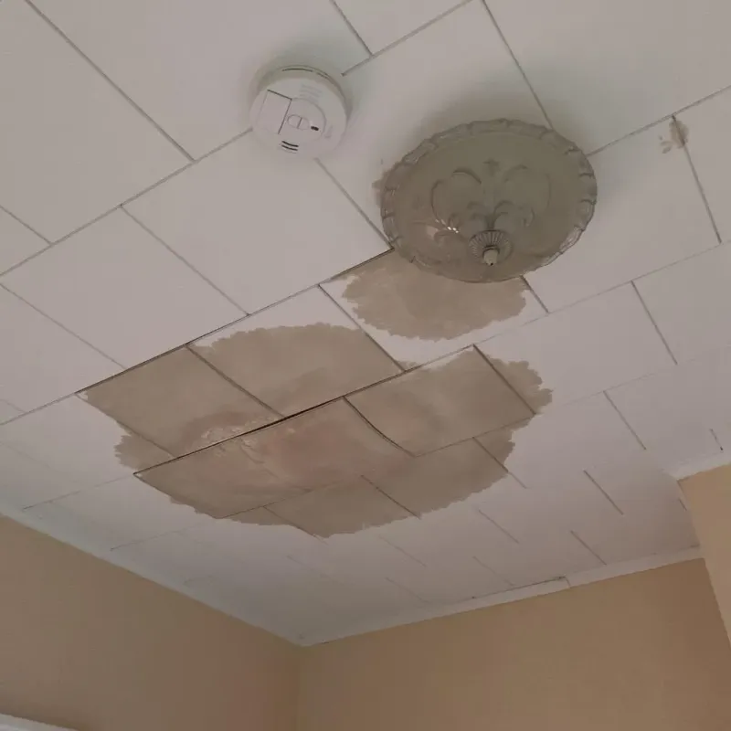 Ceiling Water Damage Repair in Johnson, AR