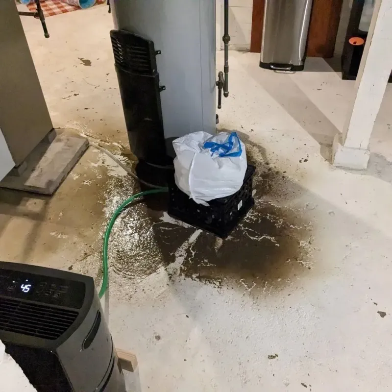 Sewage Backup Cleanup Service in Johnson, AR